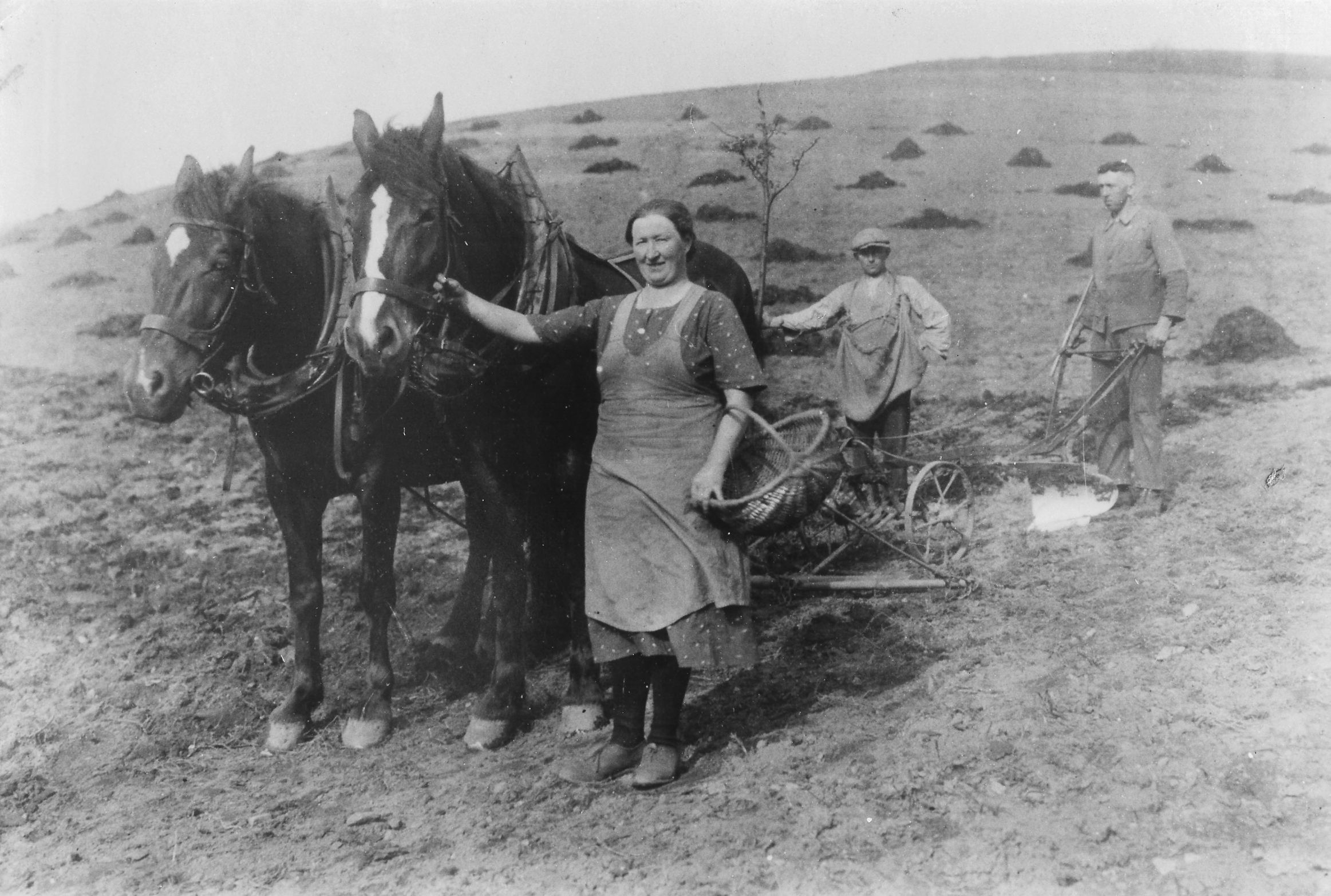 Zu sehen ist eine Frau und zwei Männer welche mit einem Pflug, gezogen von zwei Pferden, arbeiten. (S/W Aufnahme)